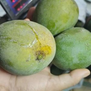 হিমসাগর ২৪ কেজি প্যাকেজ